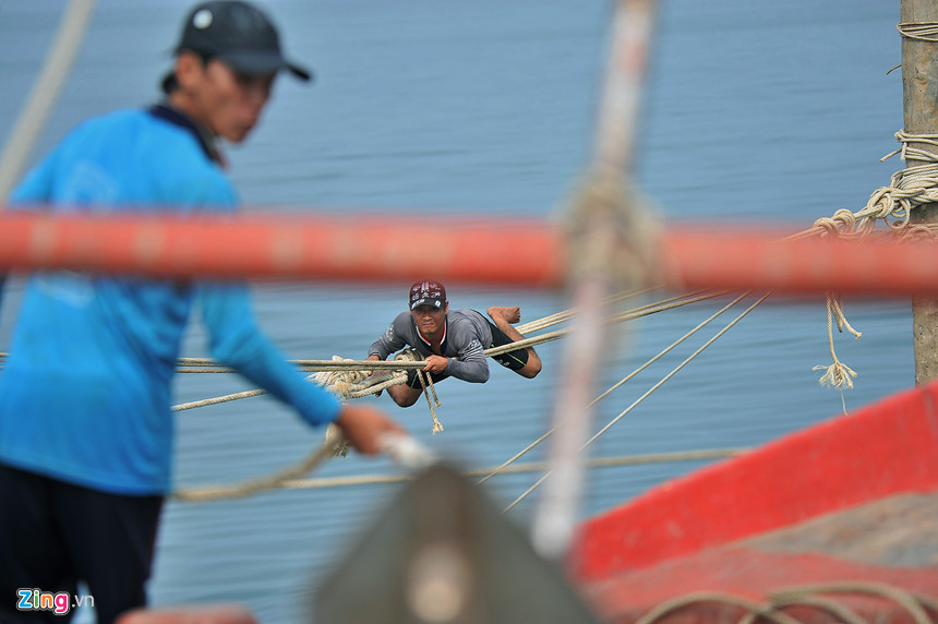 Người nhện ở vùng biển cực nam Tổ quốc