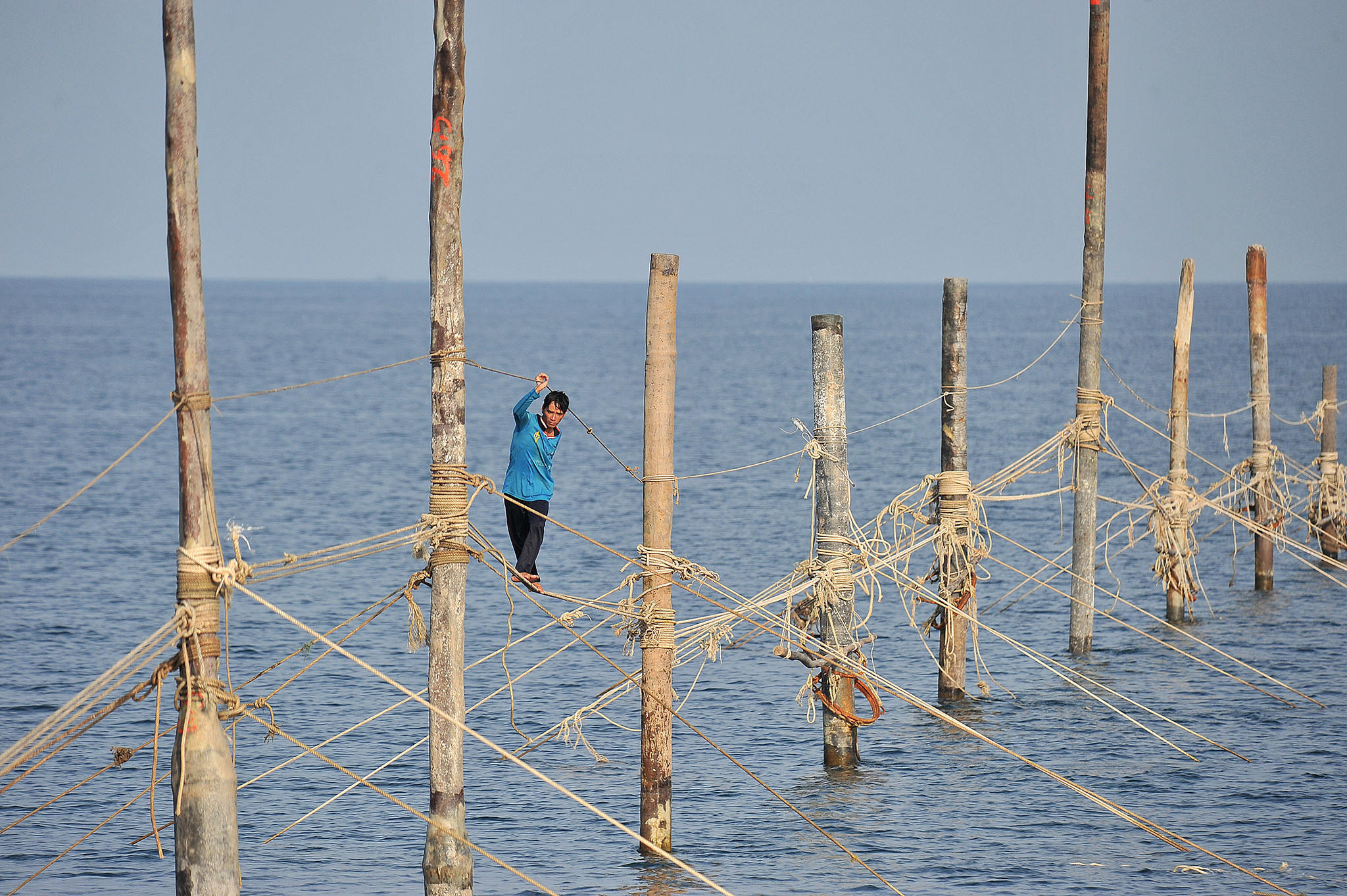 Người nhện ở vùng biển cực nam Tổ quốc