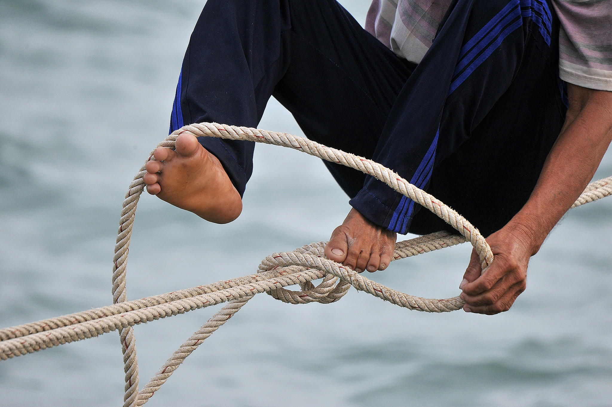 Người nhện ở vùng biển cực nam Tổ quốc