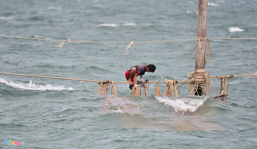 Người nhện ở vùng biển cực nam Tổ quốc