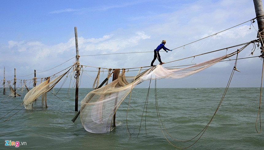 Người nhện ở vùng biển cực nam Tổ quốc