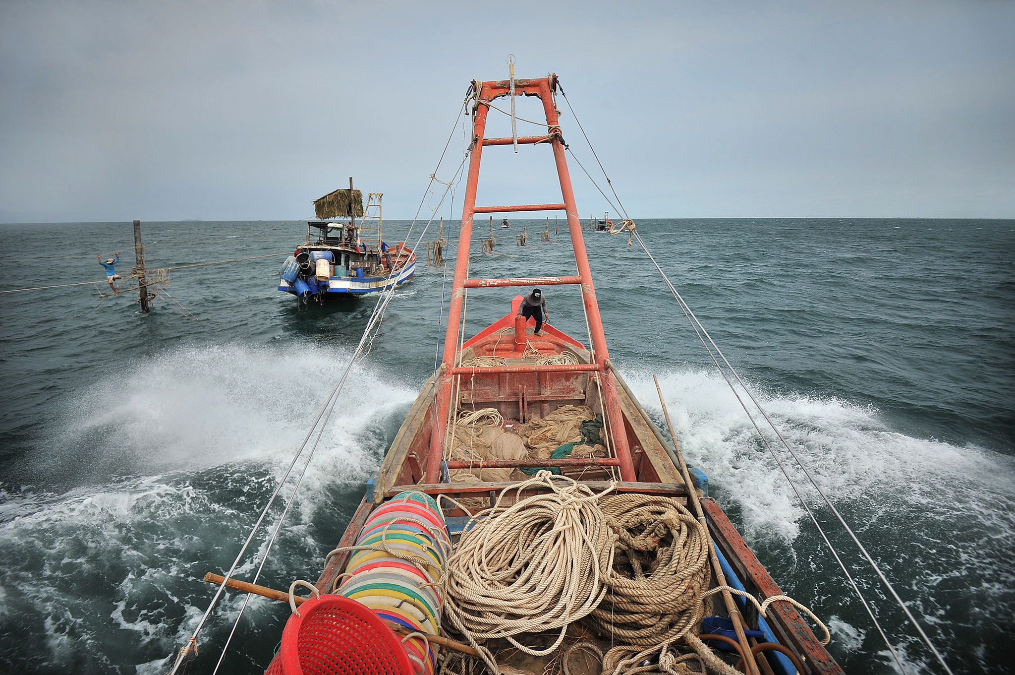 Người nhện ở vùng biển cực nam Tổ quốc