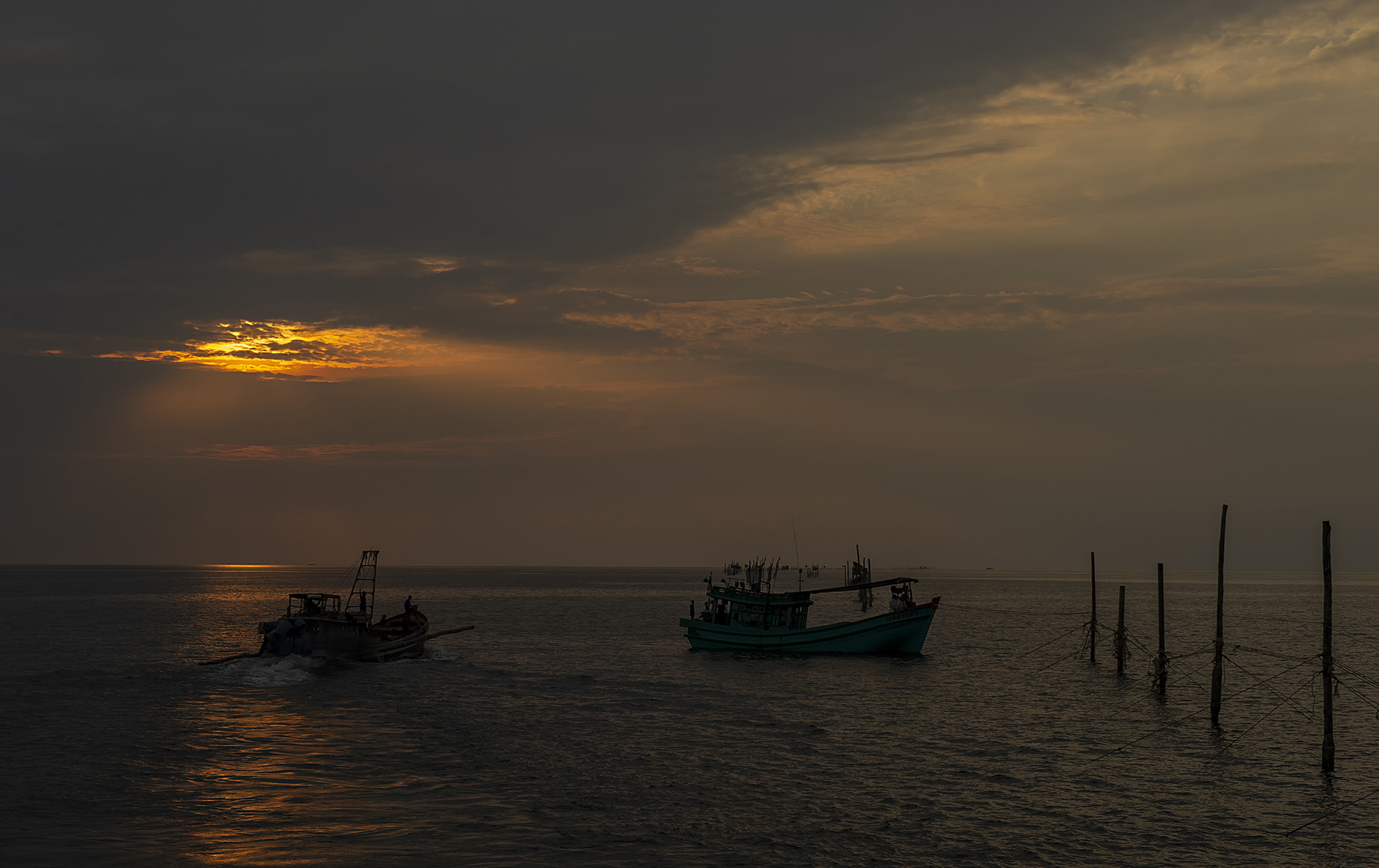 Người nhện ở vùng biển cực nam Tổ quốc