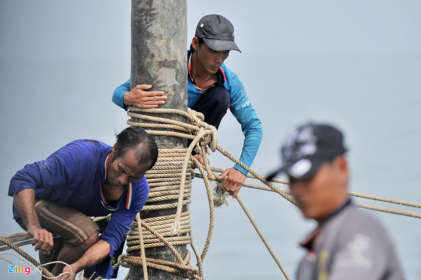 Người nhện ở vùng biển cực nam Tổ quốc