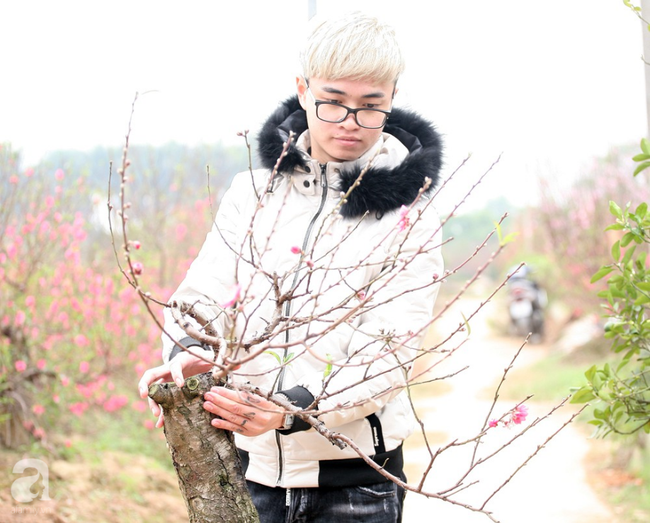 Vụ 150 gốc đào bị phá, chủ một vườn đào tự tử: Chúng tôi không ai phán xét gì, chỉ mong ông B. yên nghỉ