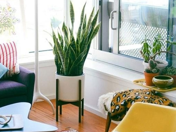 Sai lầm cực phổ biến trong phong thuỷ gia đình nào mắc phải chắc chắn sẽ hối hận cả đời