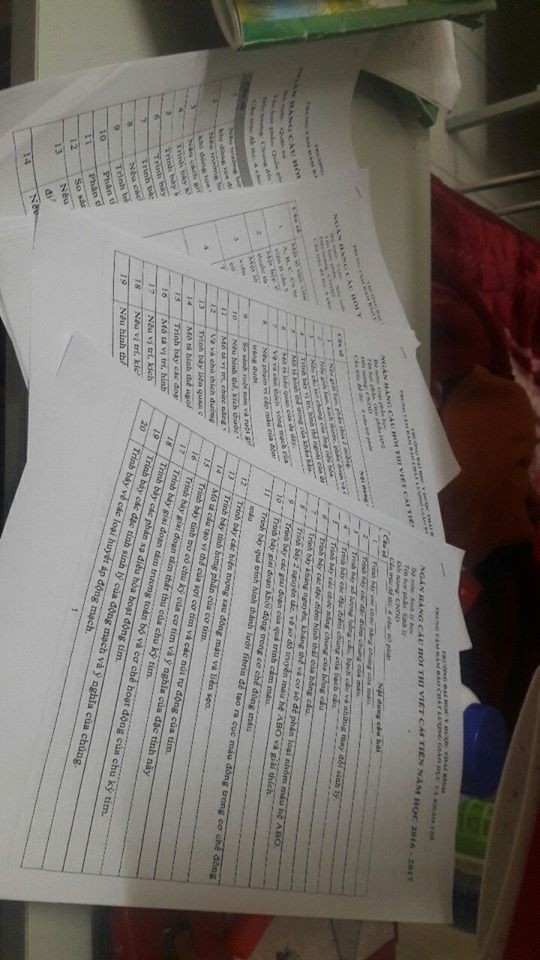 Một bức ảnh - ngàn tâm tư: Nỗi ám ảnh của học sinh, sinh viên mang tên bài tập Tết