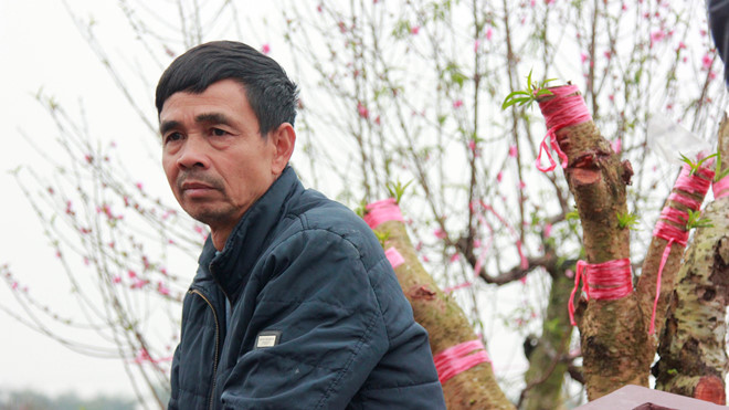 Công an Bắc Ninh chỉ đạo điều tra vụ phá hoại 147 gốc đào trước Tết