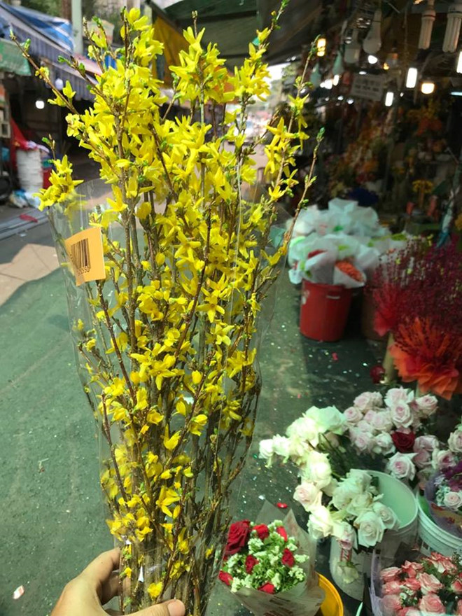 Nhà giàu Việt chi chục triệu mua đào đông đỏ, mai Mỹ chơi Tết