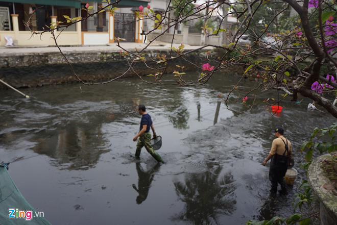 Làng cá chép nổi tiếng xứ Thanh trước ngày ông Táo về trời