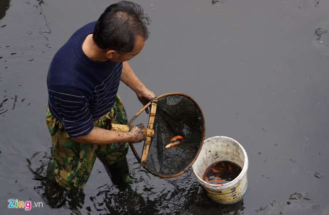Làng cá chép nổi tiếng xứ Thanh trước ngày ông Táo về trời