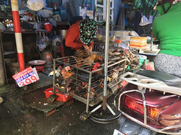 Chưa Tết, giá một loạt mặt hàng đã nhảy múa