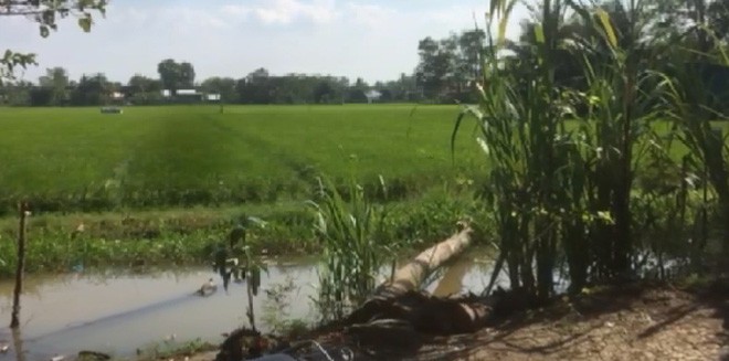 Cảnh sát hình sự cải trang thành người làm ruộng tóm gọn trường gà