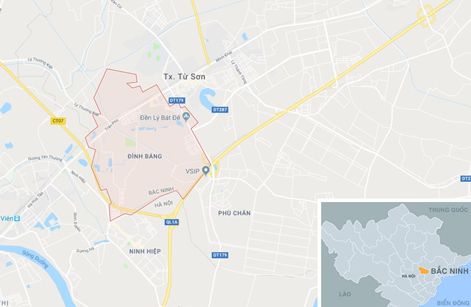 Công an tỉnh Bắc Ninh chỉ đạo điều tra vụ chặt phá đào trước Tết
