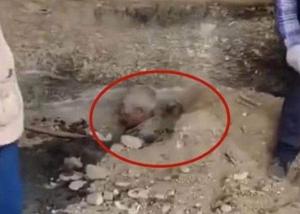 MXH phẫn nộ trước đoạn clip vợ chồng con trai chôn sống bố, ai biết sự thật đằng sau cũng phải lắc đầu ngao ngán MXH phẫn nộ trước đoạn clip vợ chồng con trai chôn sống bố, ai biết sự thật đằng sau cũng phải lắc đầu ngao ngán