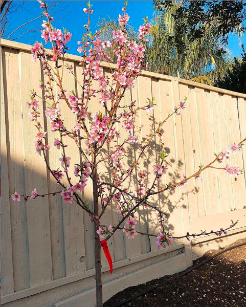 Không phải đoán mò nữa, Phạm Hương về Việt Nam sau tin đồn sang Mỹ sinh con hay chưa đã có câu trả lời rồi đây