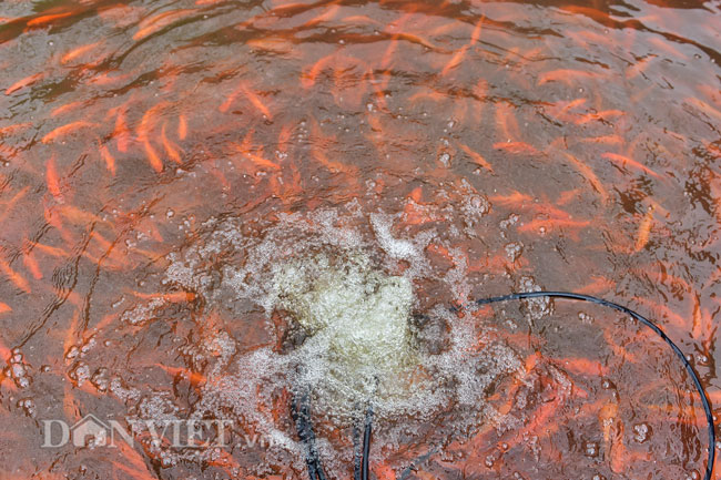 Ảnh: Nhộn nhịp làng sản xuất siêu xe chở ông Công ông Táo