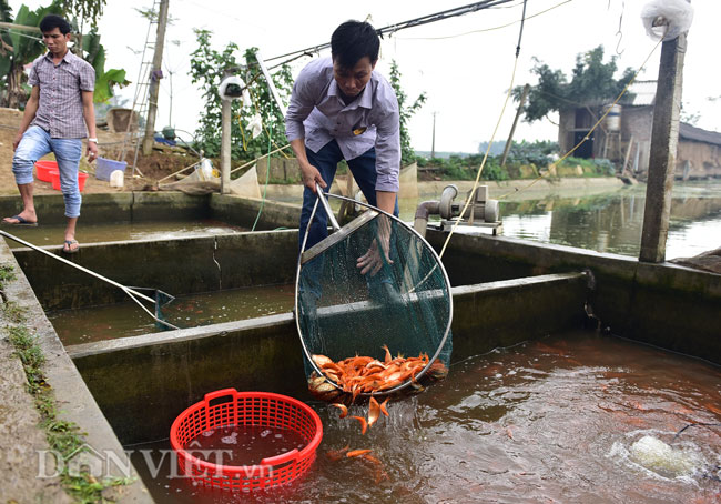 Ảnh: Nhộn nhịp làng sản xuất siêu xe chở ông Công ông Táo