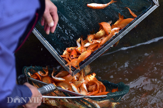 Ảnh: Nhộn nhịp làng sản xuất siêu xe chở ông Công ông Táo