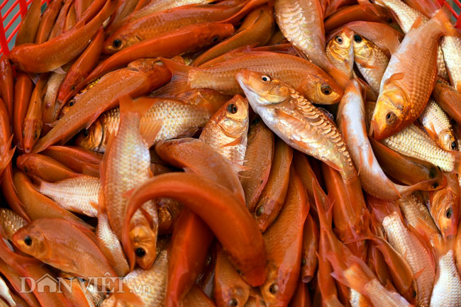 Ảnh: Nhộn nhịp làng sản xuất siêu xe chở ông Công ông Táo