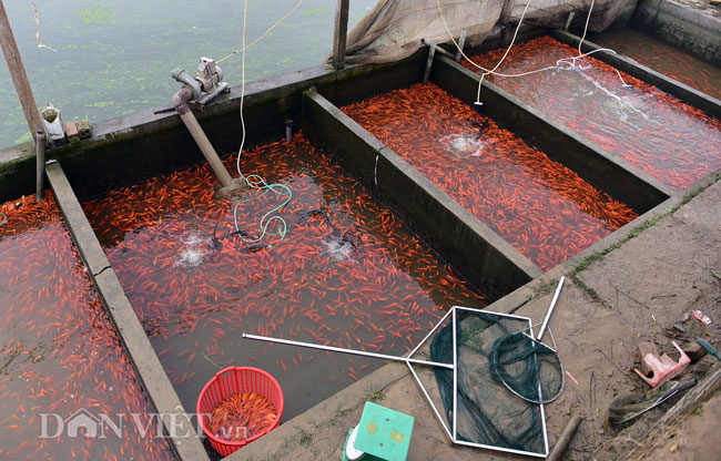 Ảnh: Nhộn nhịp làng sản xuất siêu xe chở ông Công ông Táo