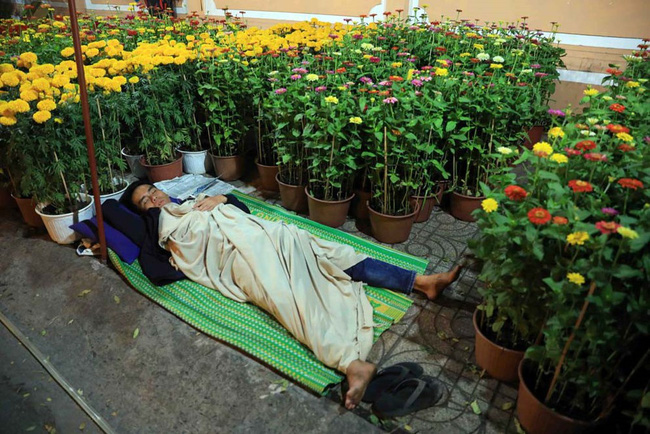 Tranh cãi cực gắt của dân mạng trước lời khuyên đừng đợi đến 30 mới mua hoa Tết