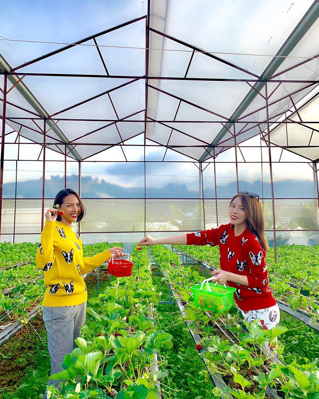 Diệp Lâm Anh đăng ảnh tất niên cùng hội bạn dì nhưng dân mạng lại chỉ chú ý đến cặp đôi Minh Triệu - Kỳ Duyên