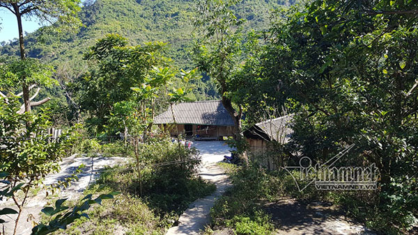 Bi đát phận đẻ thuê nơi xứ người