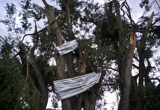 Cuba: Lốc xoáy kinh hoàng đánh thẳng vào Havana, 175 người thương vong