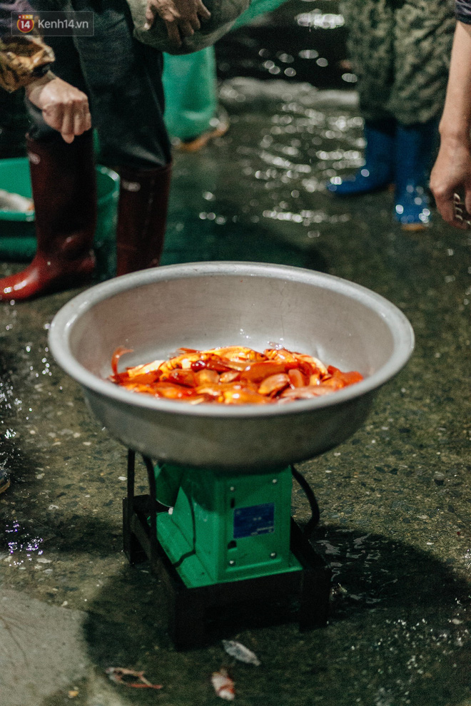 Video ảnh: Chợ cá lớn nhất Hà Nội nhộn nhịp từ tờ mờ sáng ngày tiễn ông Công ông Táo về trời