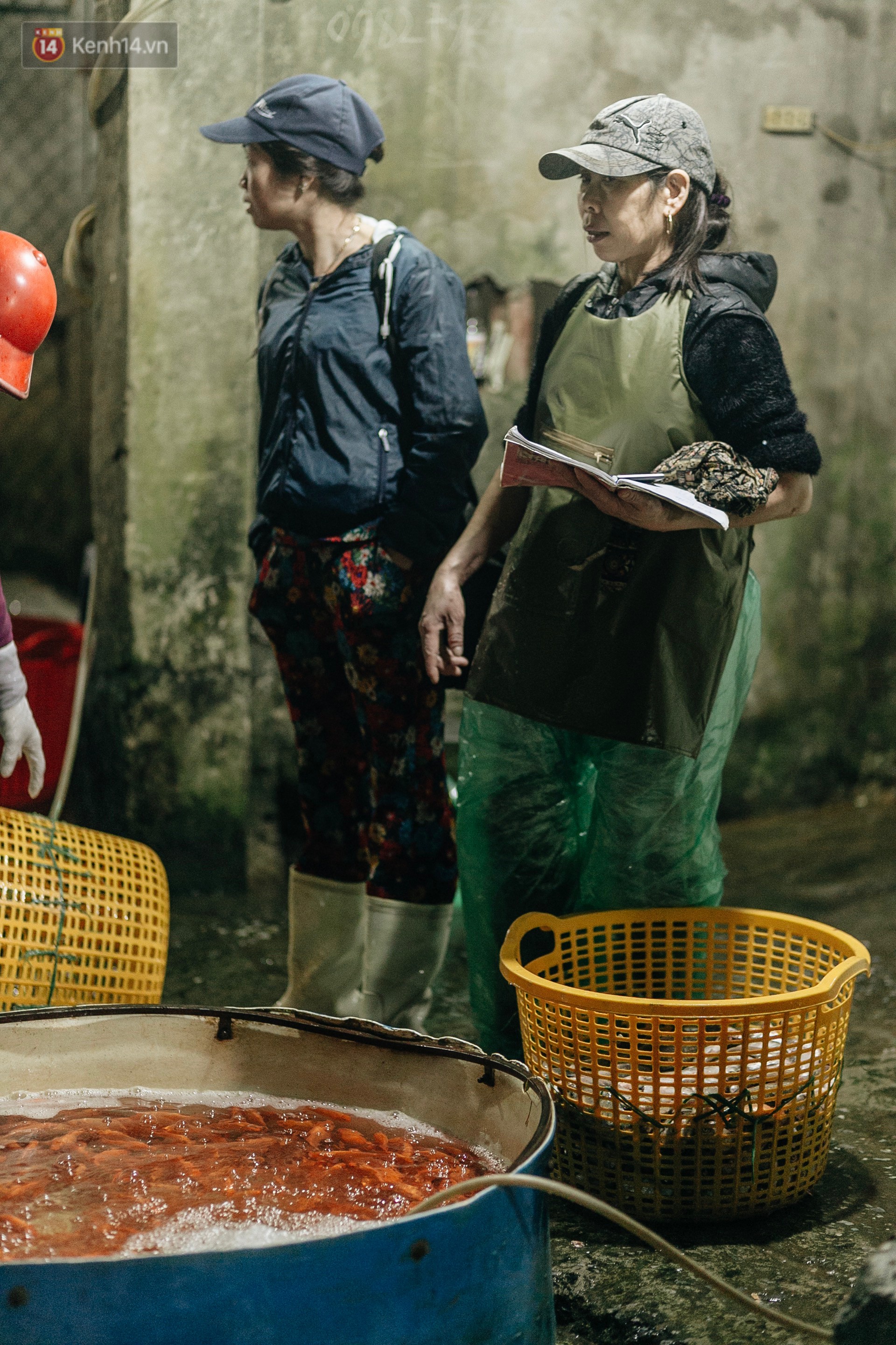 Video ảnh: Chợ cá lớn nhất Hà Nội nhộn nhịp từ tờ mờ sáng ngày tiễn ông Công ông Táo về trời