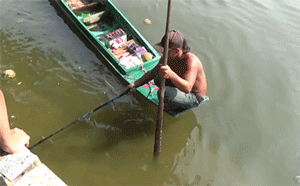 Cận cảnh đội quân ngang nhiên chích điện, bắt cá phóng sinh ngay trước mặt người thả
