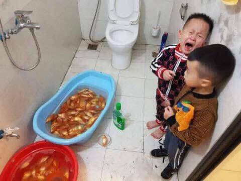 2 anh em có nhã ý tắm cho cá vàng bằng nước lau sàn, kết quả là bố mẹ mất toi Ông Công Ông Táo