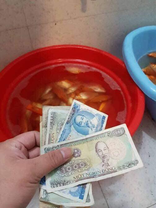 2 anh em có nhã ý tắm cho cá vàng bằng nước lau sàn, kết quả là bố mẹ mất toi Ông Công Ông Táo