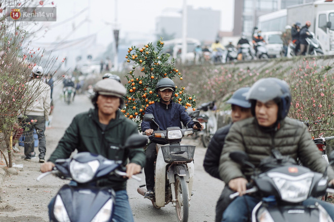 Vườn đào Nhật Tân nhộn nhịp ngày giáp Tết, đường tắc từ làng ra phố