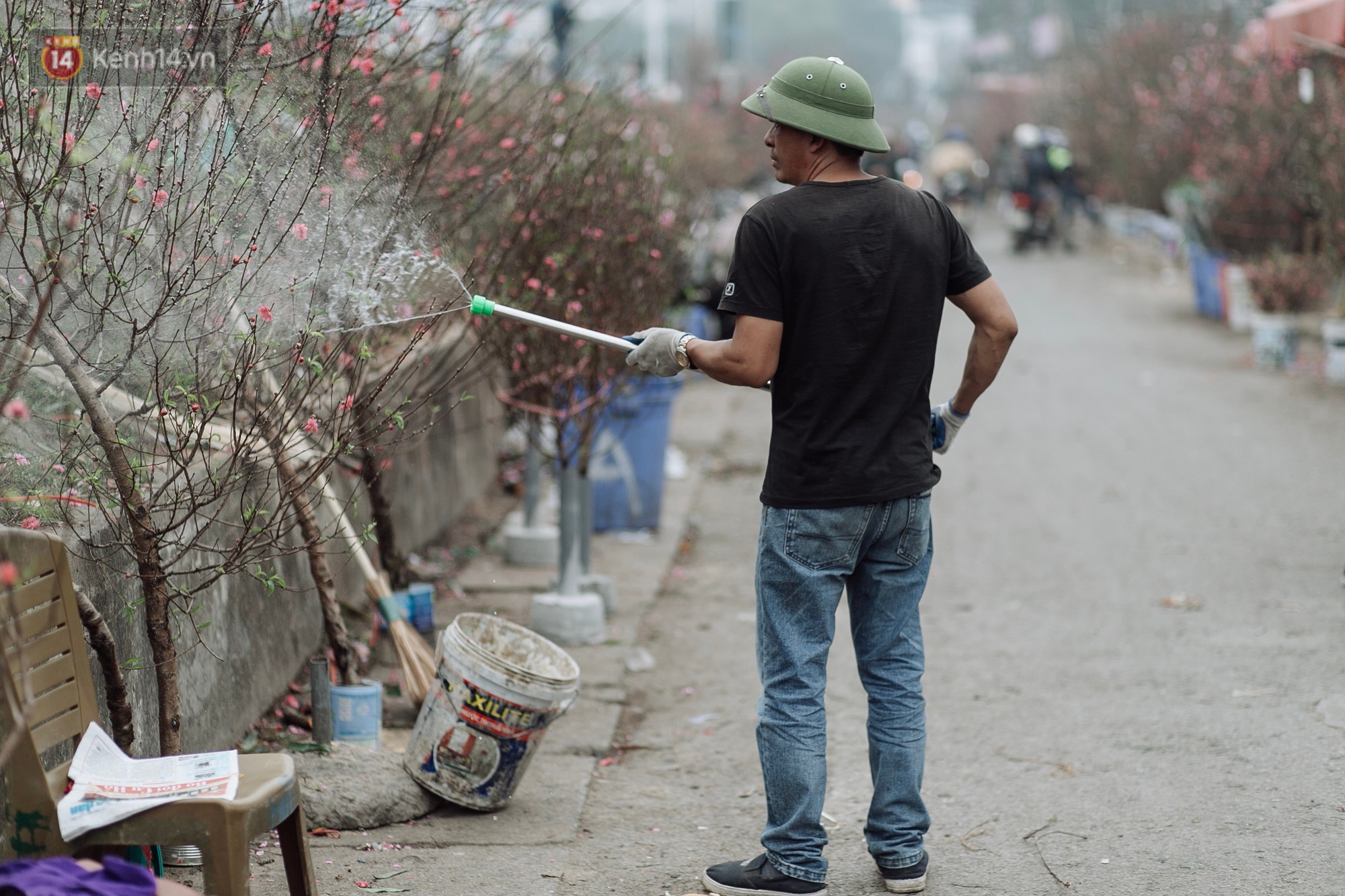 Vườn đào Nhật Tân nhộn nhịp ngày giáp Tết, đường tắc từ làng ra phố