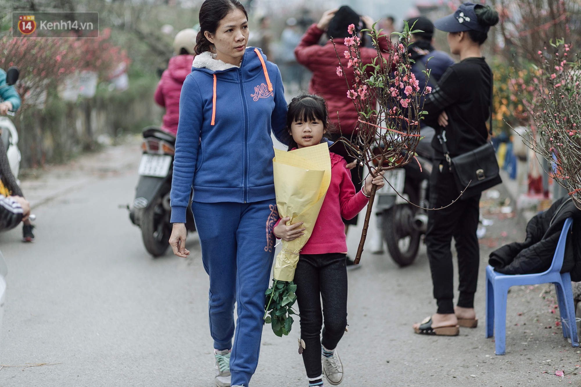 Vườn đào Nhật Tân nhộn nhịp ngày giáp Tết, đường tắc từ làng ra phố