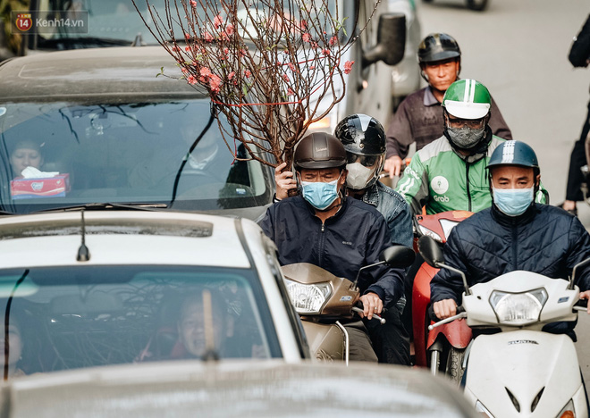 Vườn đào Nhật Tân nhộn nhịp ngày giáp Tết, đường tắc từ làng ra phố