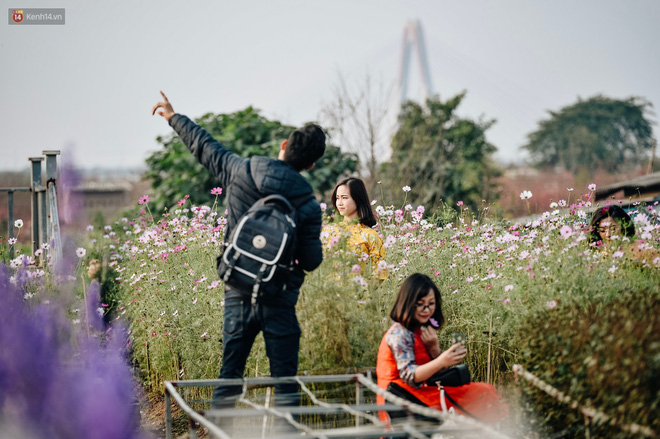 Vườn đào Nhật Tân nhộn nhịp ngày giáp Tết, đường tắc từ làng ra phố