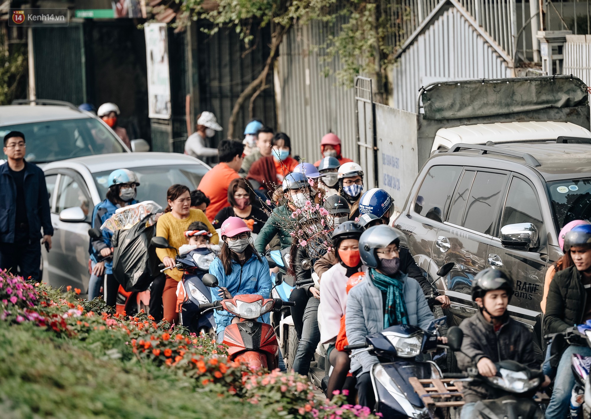 Vườn đào Nhật Tân nhộn nhịp ngày giáp Tết, đường tắc từ làng ra phố