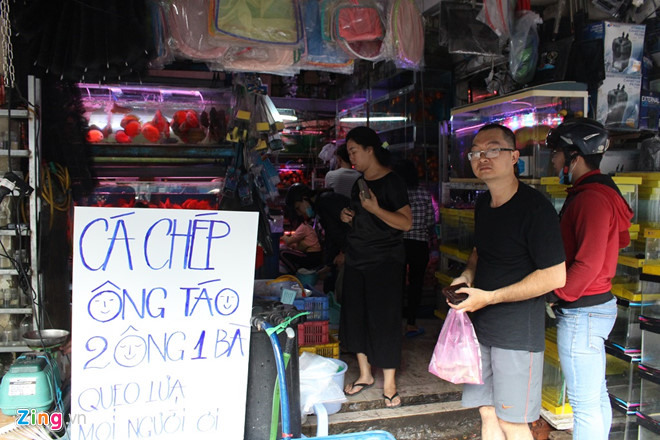 Người Sài Gòn mua cá Koi tiền triệu tiễn ông Công, ông Táo