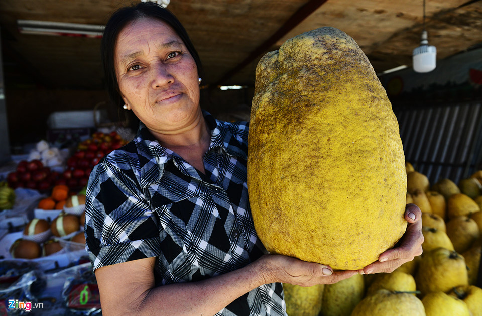 Video - Ảnh: Trái, cây cảnh độc lạ trưng Tết ở Sài Gòn
