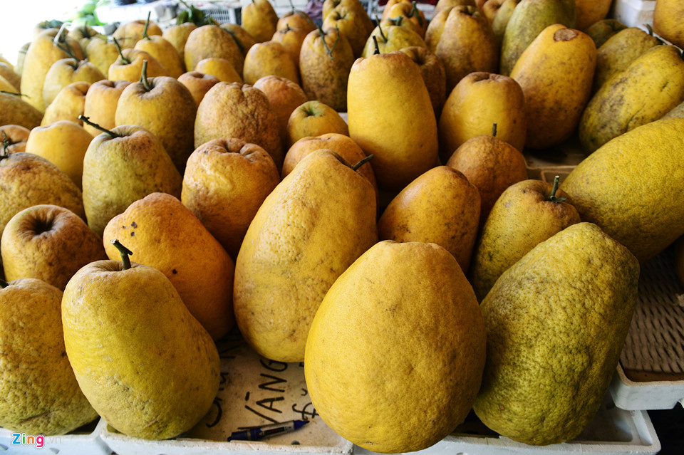 Video - Ảnh: Trái, cây cảnh độc lạ trưng Tết ở Sài Gòn