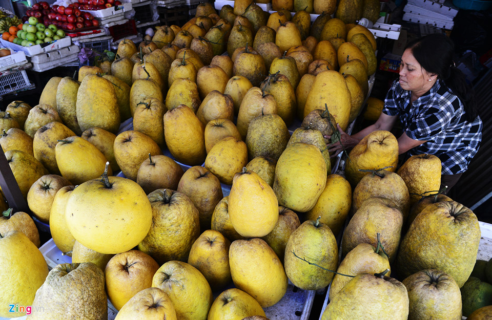 Video - Ảnh: Trái, cây cảnh độc lạ trưng Tết ở Sài Gòn