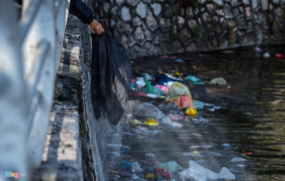 Cá chép mắc kẹt trong túi nylon, bàn thờ bị ném thẳng xuống hồ