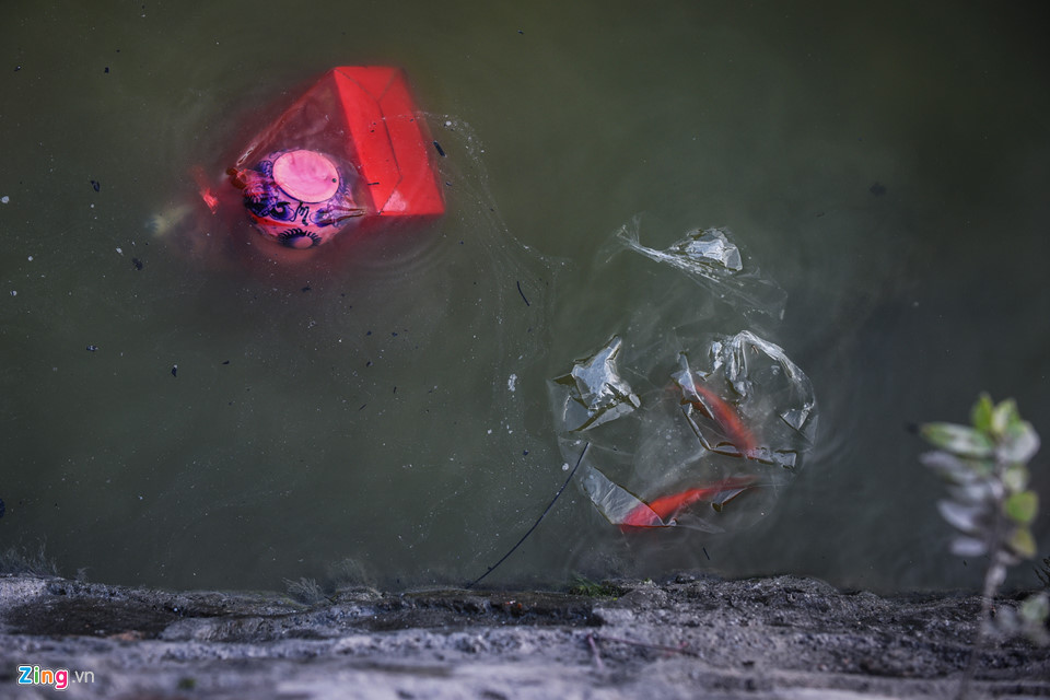 Cá chép mắc kẹt trong túi nylon, bàn thờ bị ném thẳng xuống hồ