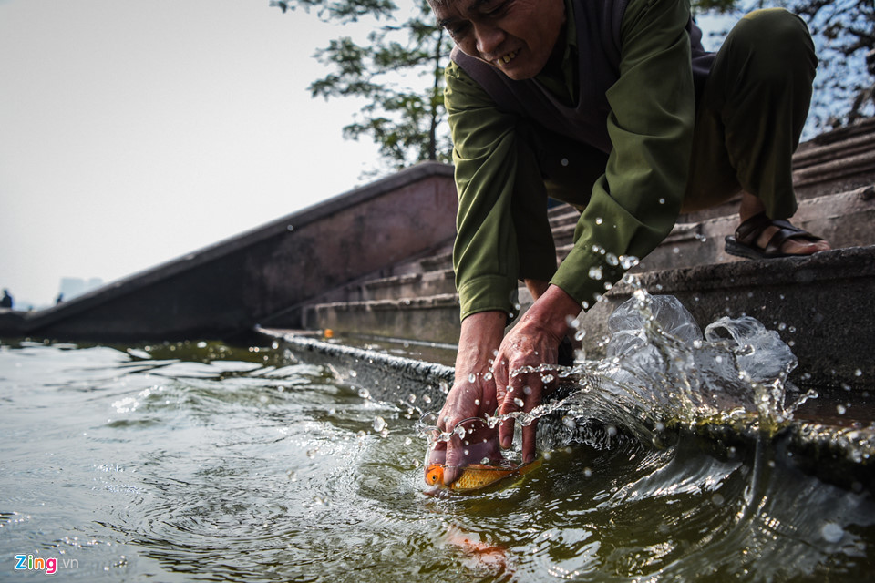 Cá chép mắc kẹt trong túi nylon, bàn thờ bị ném thẳng xuống hồ