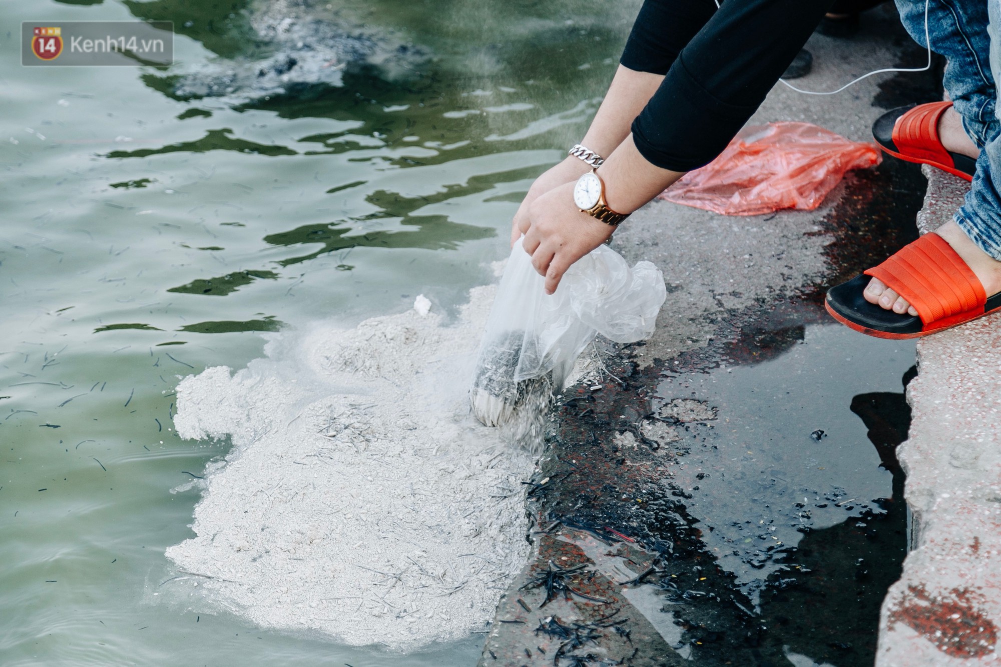 Ảnh: Cá chép chết nổi mặt hồ Tây, bàn thờ, bát hương bị vứt thẳng xuống hồ