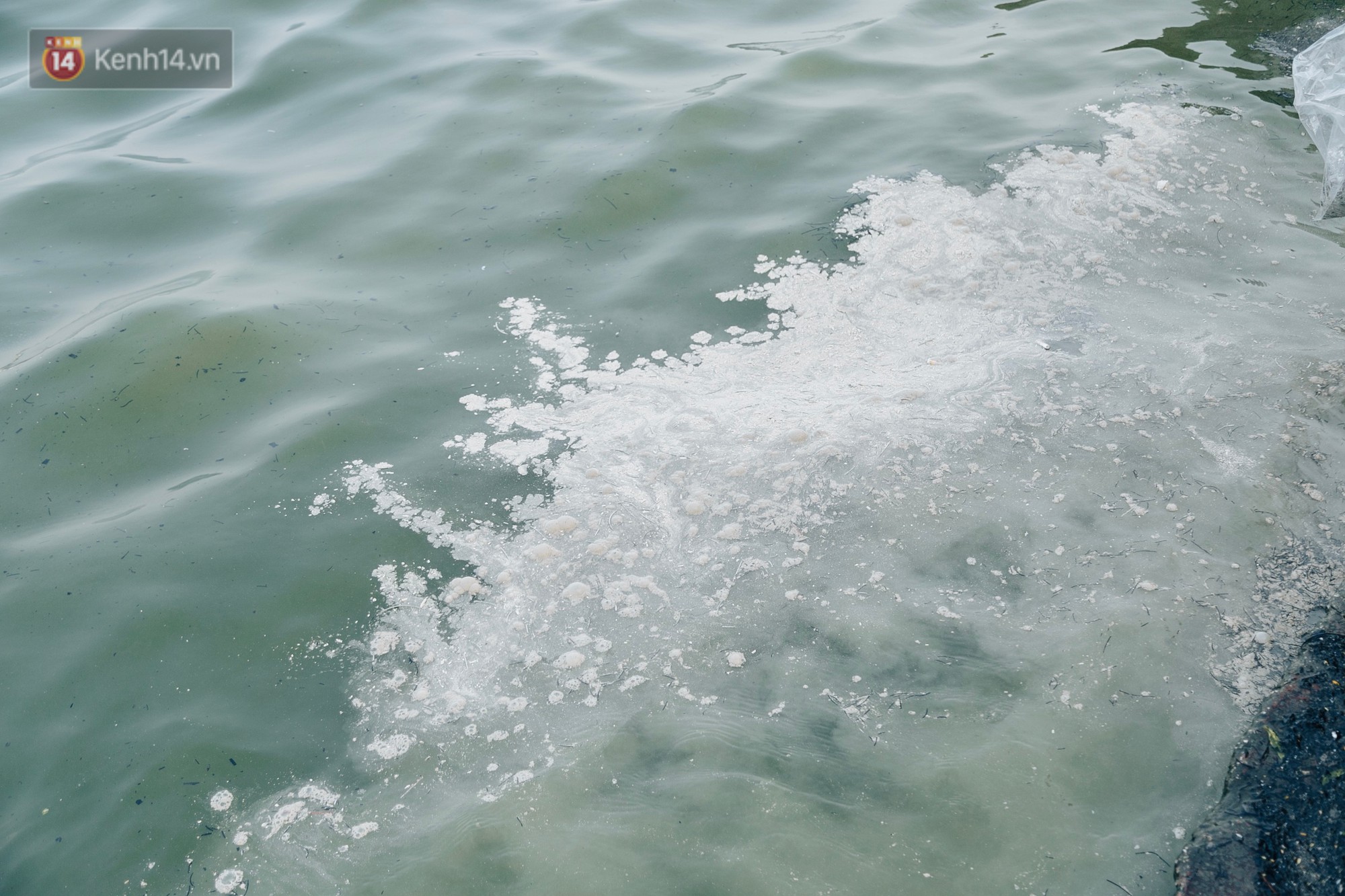 Ảnh: Cá chép chết nổi mặt hồ Tây, bàn thờ, bát hương bị vứt thẳng xuống hồ