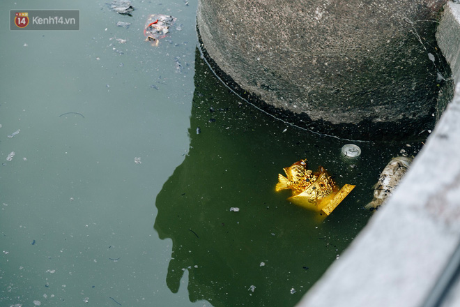 Ảnh: Cá chép chết nổi mặt hồ Tây, bàn thờ, bát hương bị vứt thẳng xuống hồ Ảnh: Cá chép chết nổi mặt hồ Tây, bàn thờ, bát hương bị vứt thẳng xuống hồ